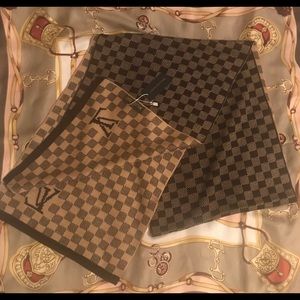 Louis Vuitton Damier Scarf
